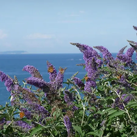 Les 3 Iles Bed & Breakfast La Croix-Valmer